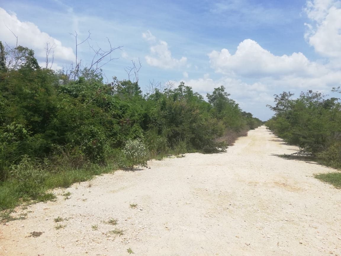Terreno en Mérida Norte