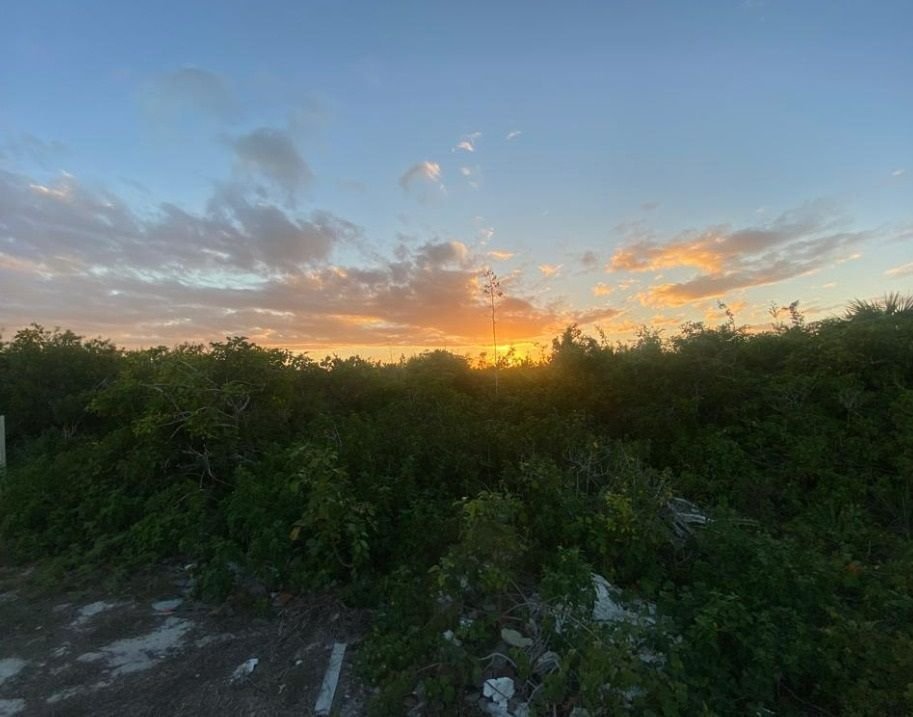 Terreno en venta en playa progreso, Yucatán, México. — foto 2