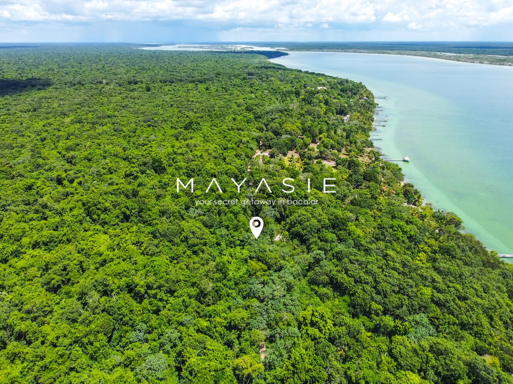 MAYASIE — foto 2