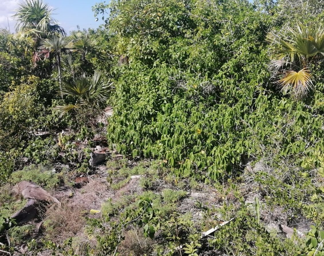 Terreno en venta en playa progreso, Yucatán, México. — foto 3