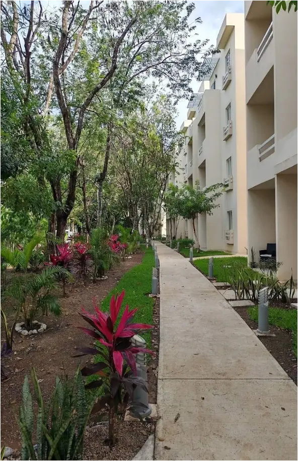 DEPARTAMENTO EN VENTA PLAYA DEL CARMEN  LA SELVA RESIDENCES — foto 5