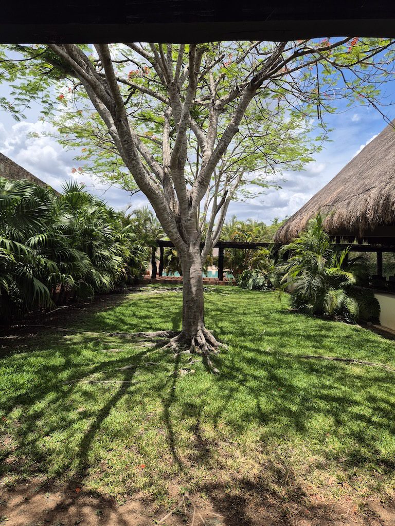 Desarrollos inmobiliarios en Mérida — foto 5