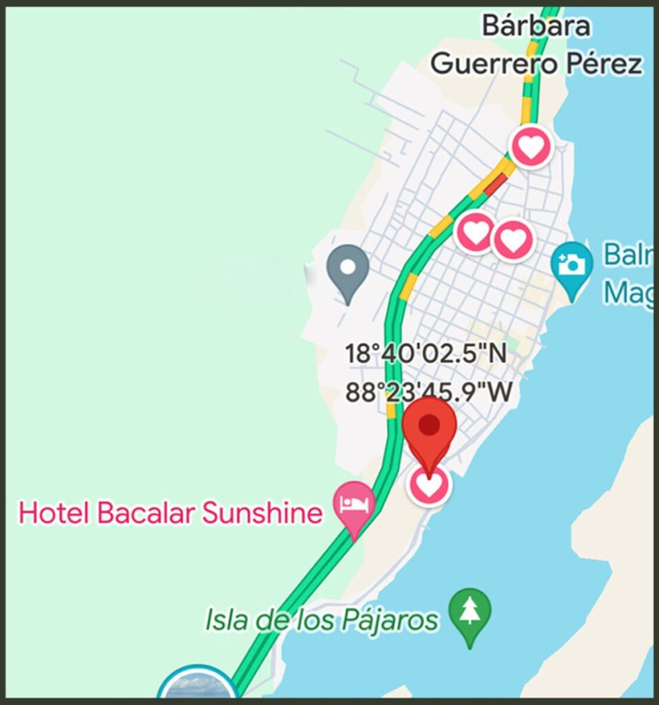 Ceiba — foto 6