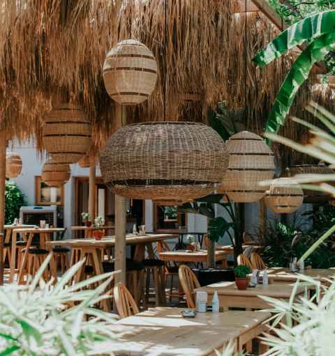 Desarrollo en Sisal — foto 6