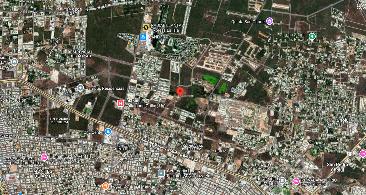 Terreno en venta en Santa Gertrudis Copo, Mérida | ideal para proyectos — foto 6