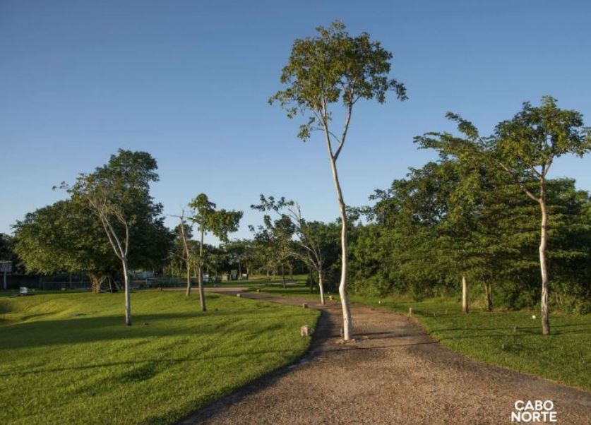 Excelente desarrollo en venta en Cabo Norte — foto 6